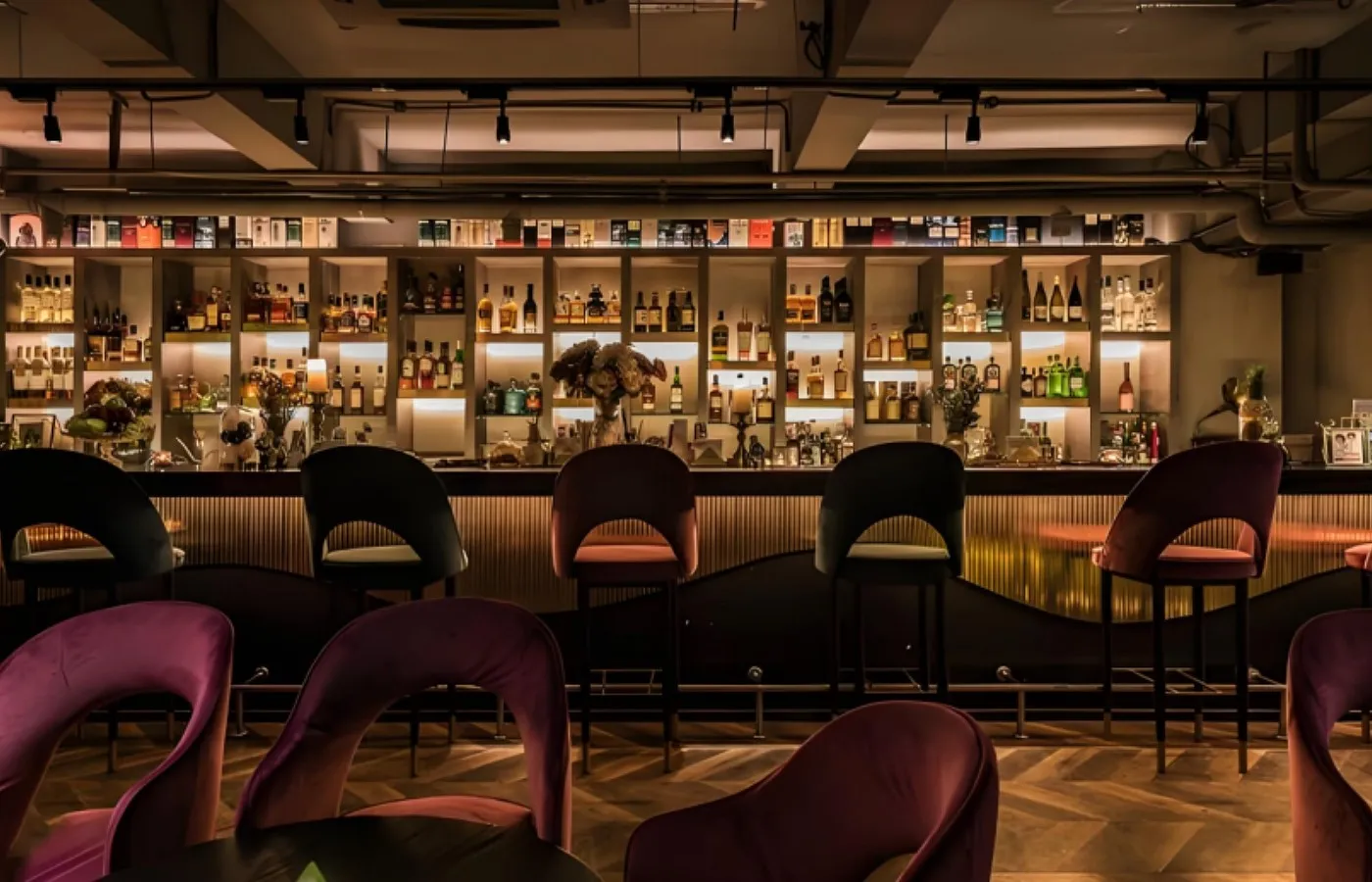 Hotel Independent Restaurant Bar-Atmosphere and Guest Experience Hotel Independent Restaurant Bar-Atmosphere and Guest Experience